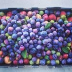 Organic stone fruit