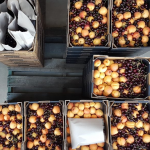 Fruit boxes packed and ready for delivery