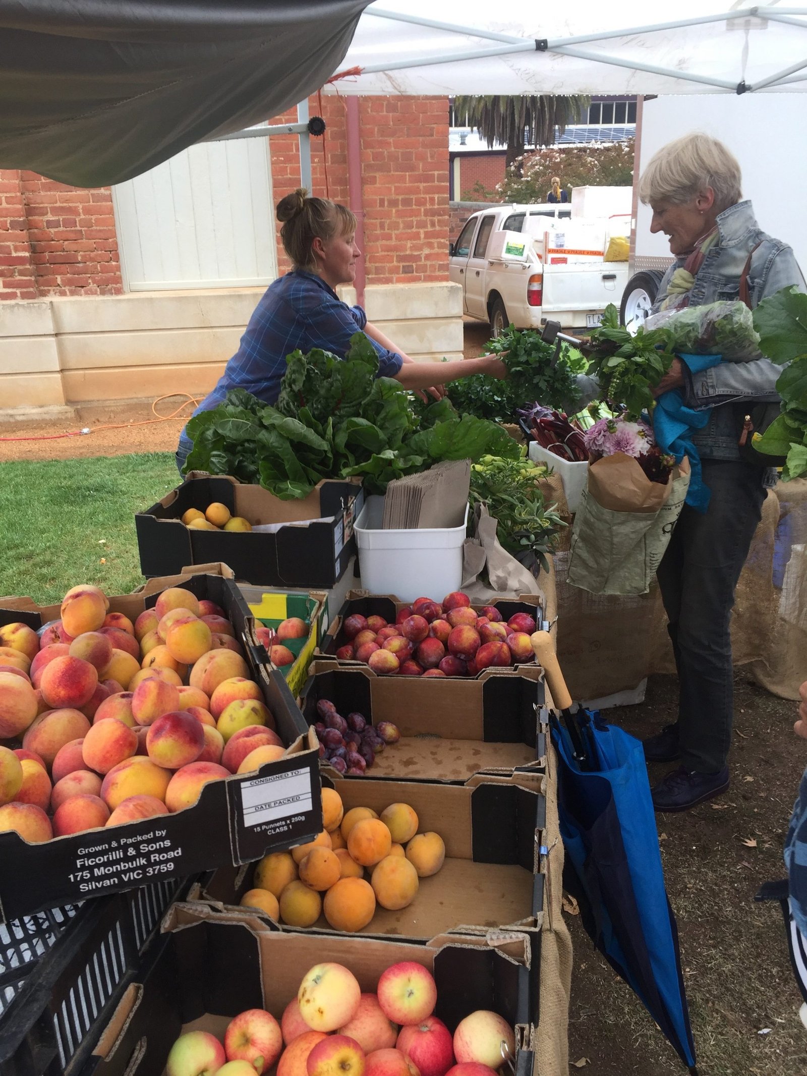 Upcoming Farmers Markets