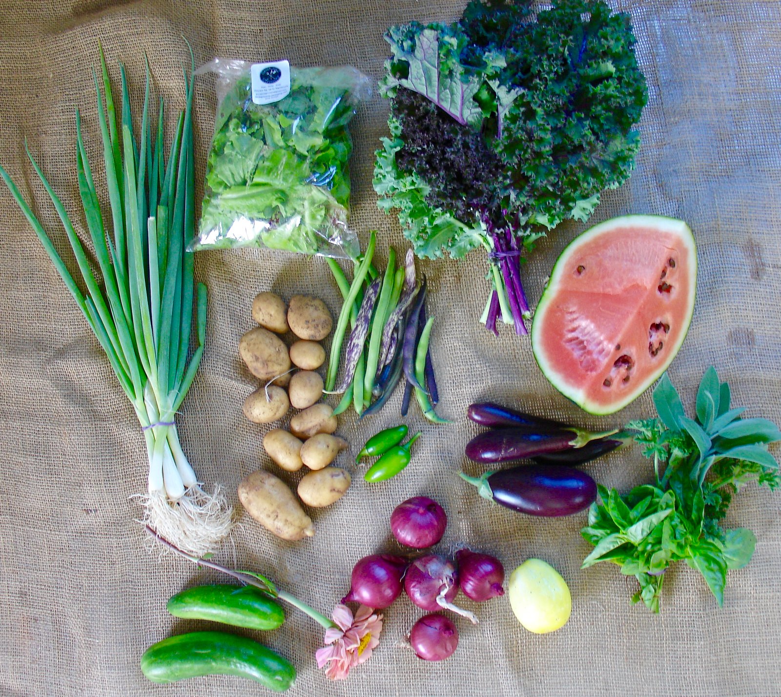 Autumn Veg and Salad Mix Subscriptions!