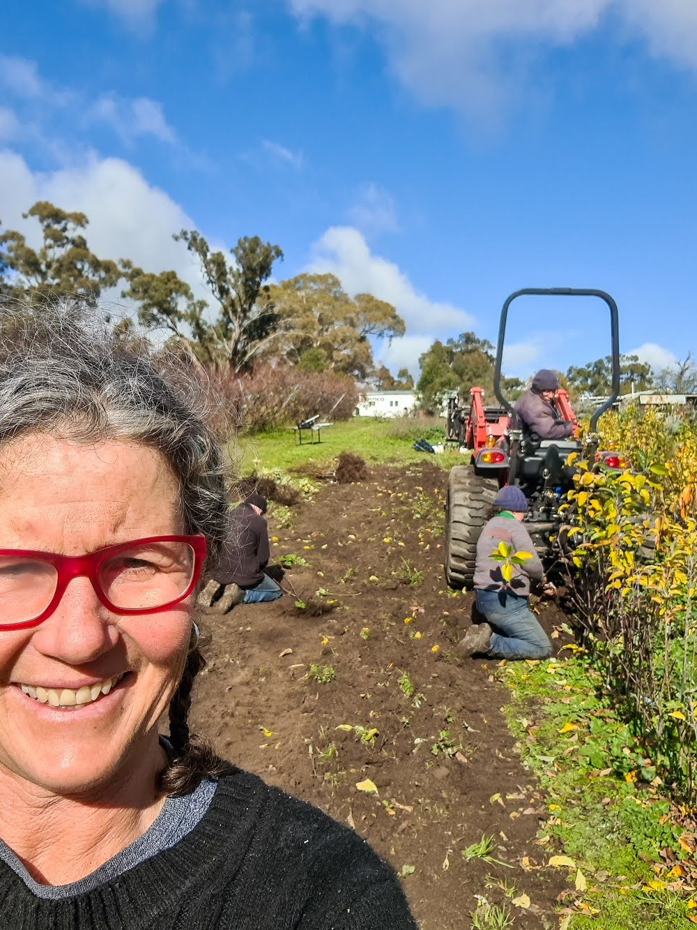 Season update from Carrs Organic Fruit Tree Nursery: Multigraft magic!