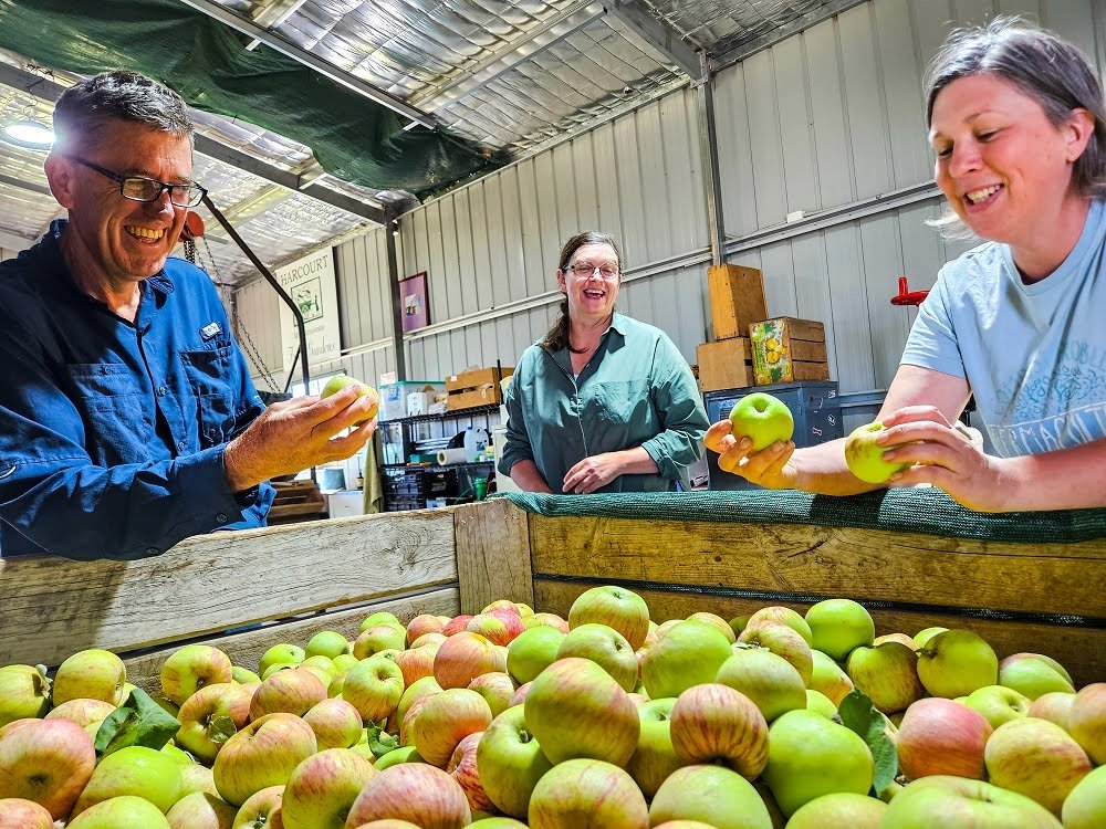 Orchard Keepers Season Update: A Year of Fruit and Community (and cake)