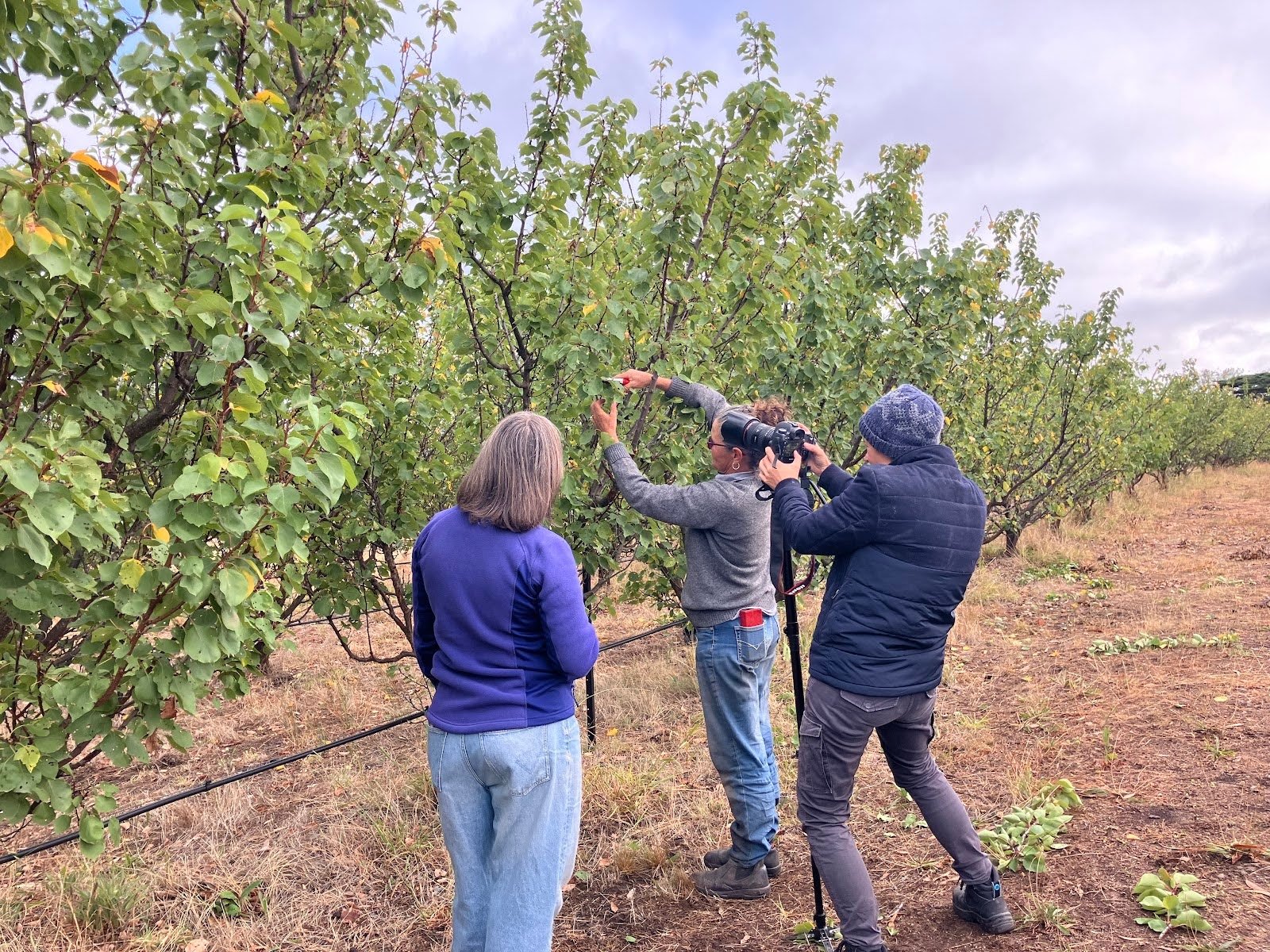 Exciting upcoming events & introducing our Whole Farm Plan