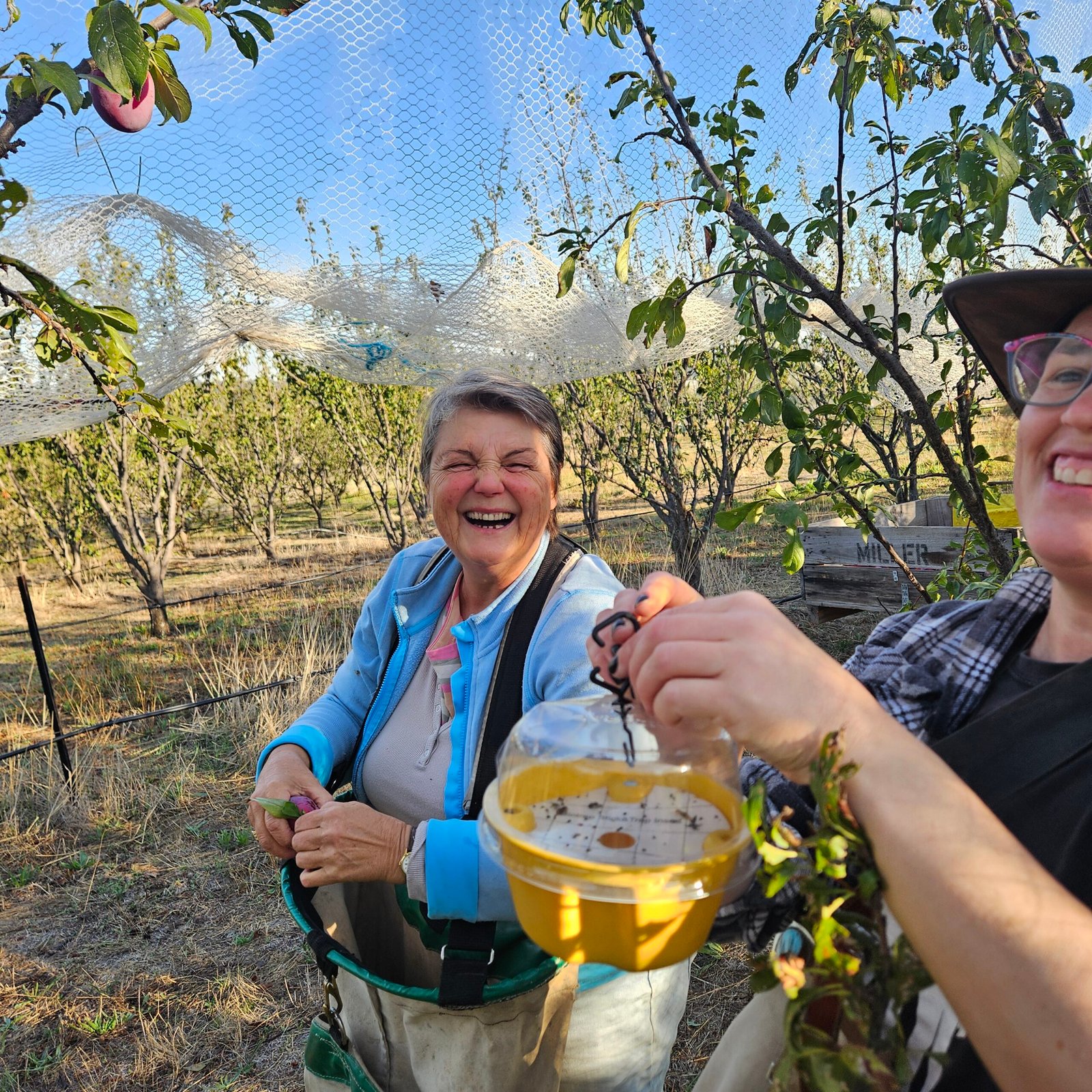 Fruit Crew Open for Applications