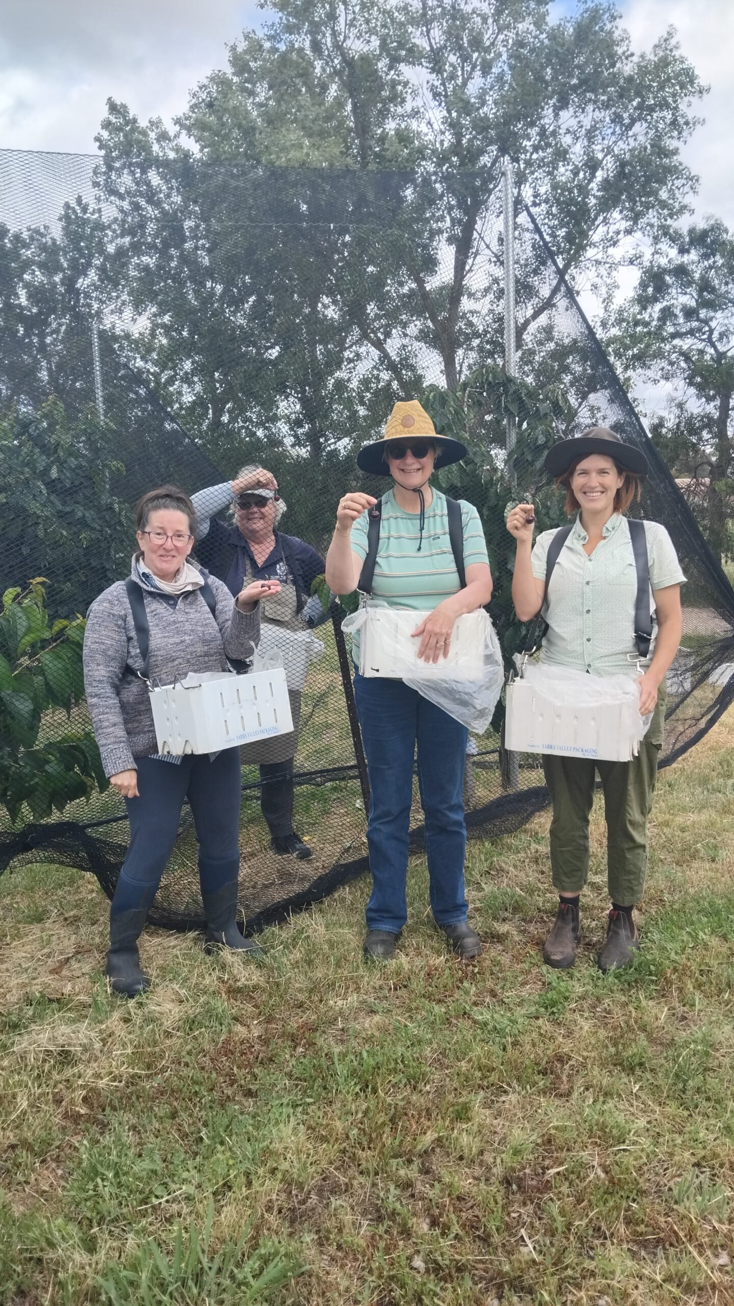 Want to learn how to grow fruit? Come and work with us